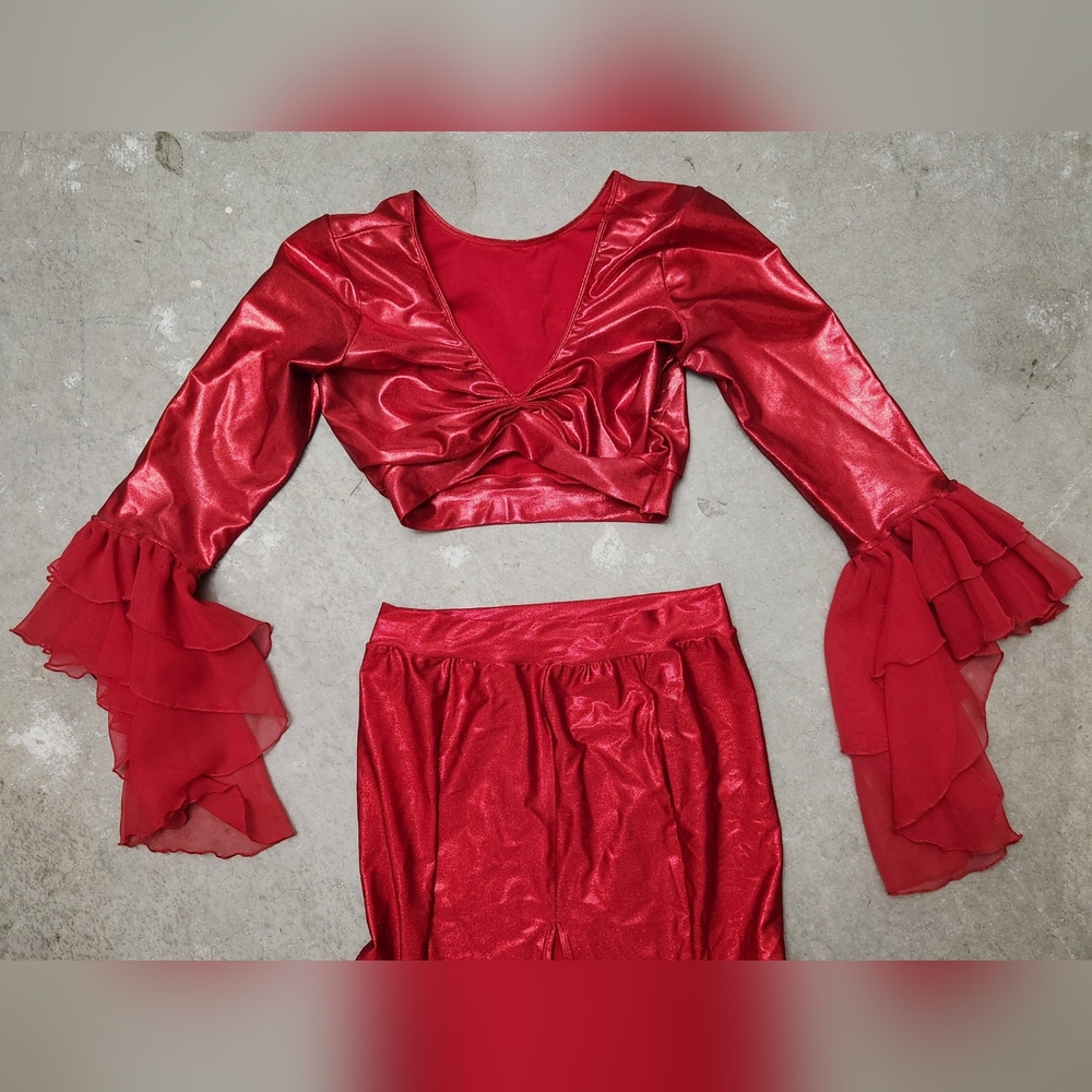 Elegant Sparkly L. Rose Designs Red Women's Bellydance Costume Set - Picture 2 of 13
